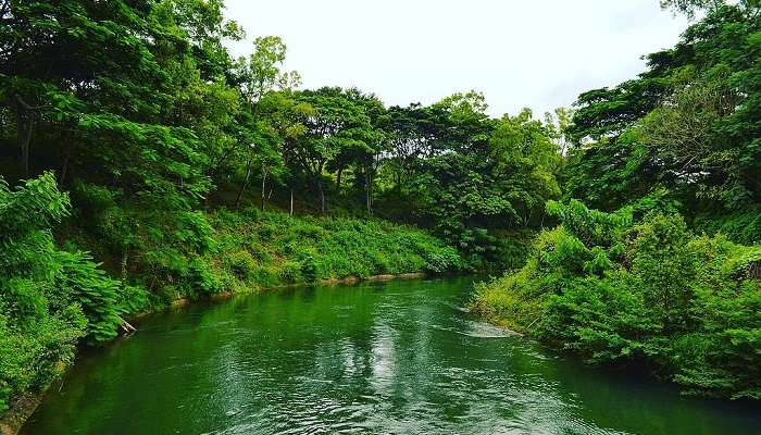Family Resorts in Coorg