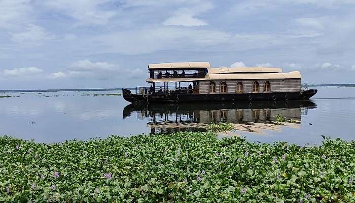  You can see different fishes at the Fish World Aqua Tourism Village near the Vaikom temple Kerala