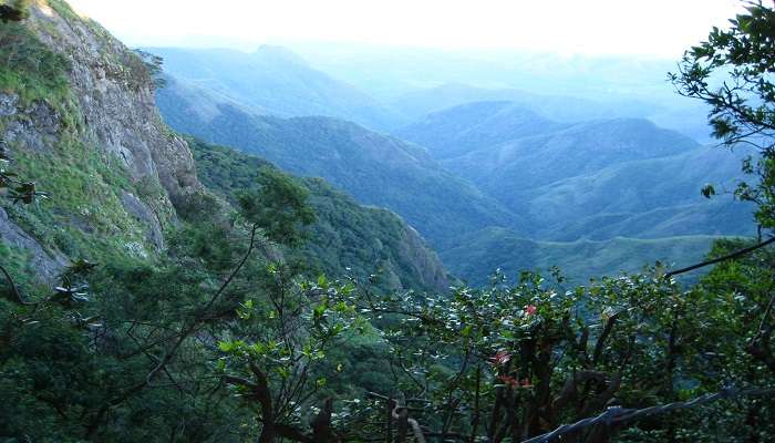 A surreal view of green valley view near liril falls