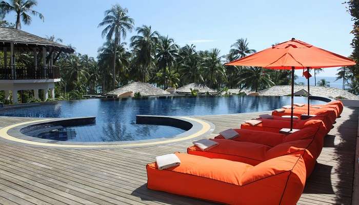 Coconut palm grove in Kerala near one of the top resorts in Kuttanad