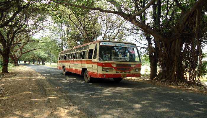 You can take a public bus or hire a taxi to drop you at the base of the trekking trail for the Perumal Peak 