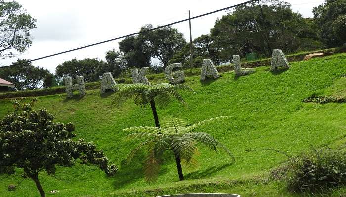 Jardin botanique de Hakgala, C’est l’une des meilleurs endroits à visiter à Nuwara Eliya