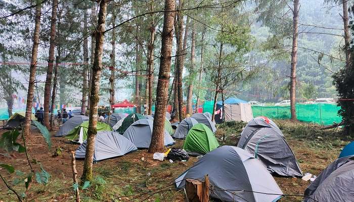 Zipline activity at the camp