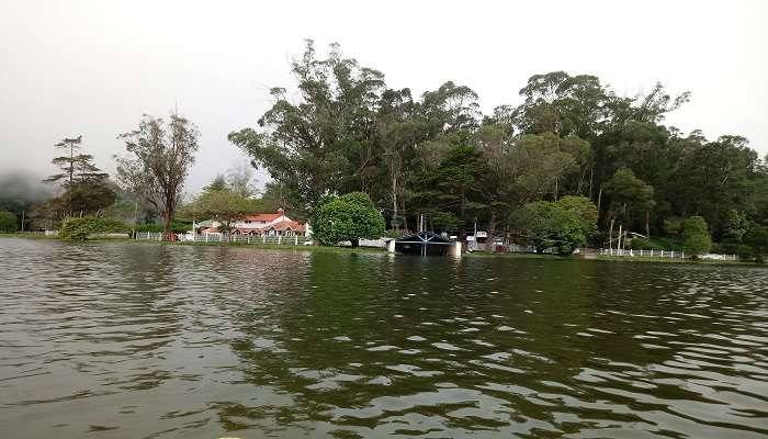 A serene picture of Kodaikanal lake near Liril falls