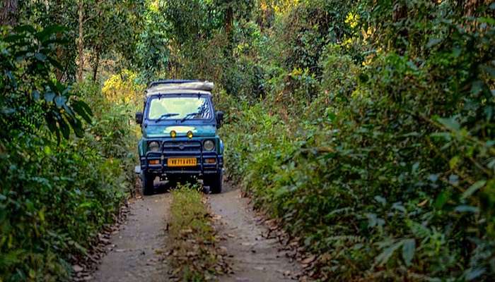 Jeep Journey inside the woods.