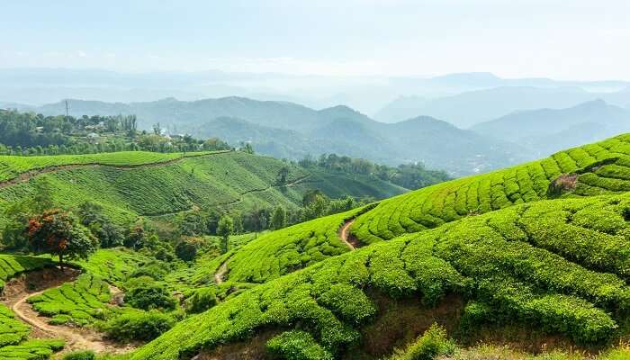 Stroll along the scenic nature while enjoying your stay at Banasura Island Resort.