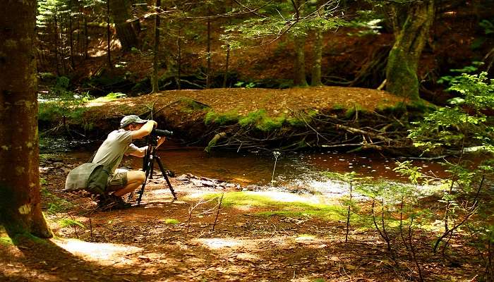 The amazing beauty of Perumal Peak make it the ideal spot for some amazing pictures