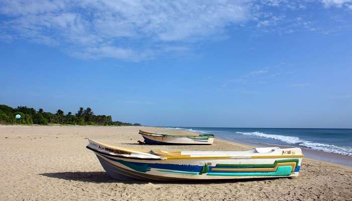 Crosiere sur la plage de Nillaveli 