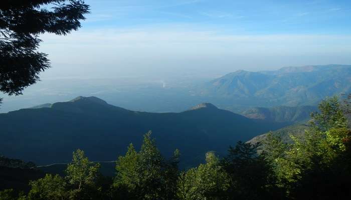 After exploring the Berijam Lake, you can travel a few extra kilometres from there to reach Palani. 