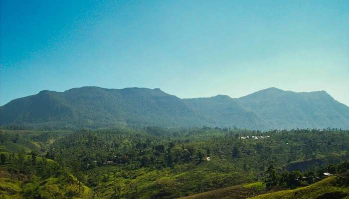 Pidurutalagala, C’est l’une des meilleurs endroits à visiter à Nuwara Eliya