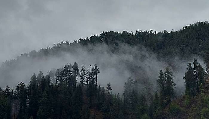 Foggy hills on an early morning in Himachal pradesh