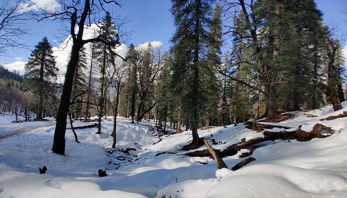 Dhanaulti Mountain, Uttarakhand