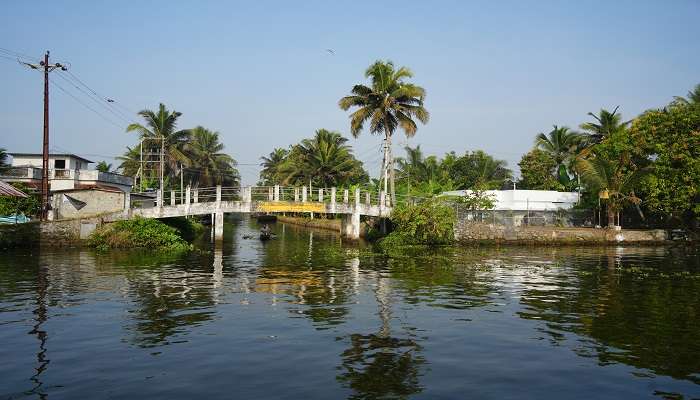 Houseboat in the backwater of Alleppey, Kerala