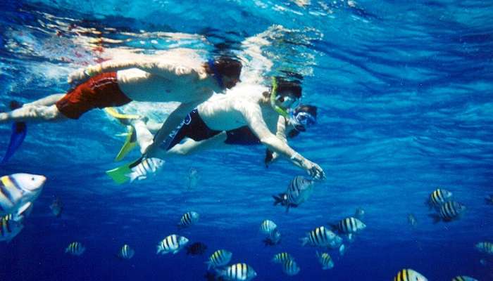 snorkelling in andaman