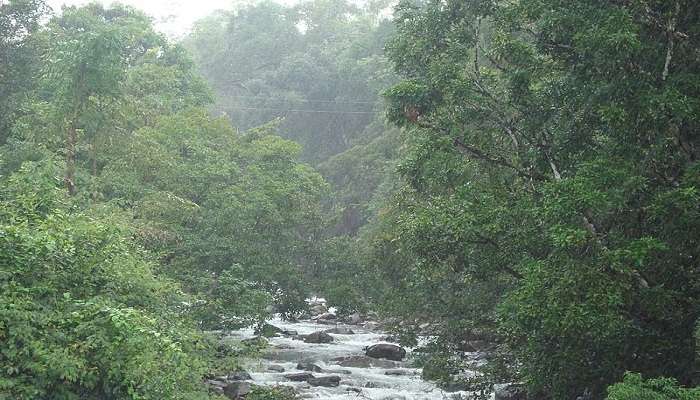 soochipara waterfalls entry fee  