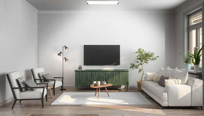 The room contains the tv, sofa and seperate coffee maker.