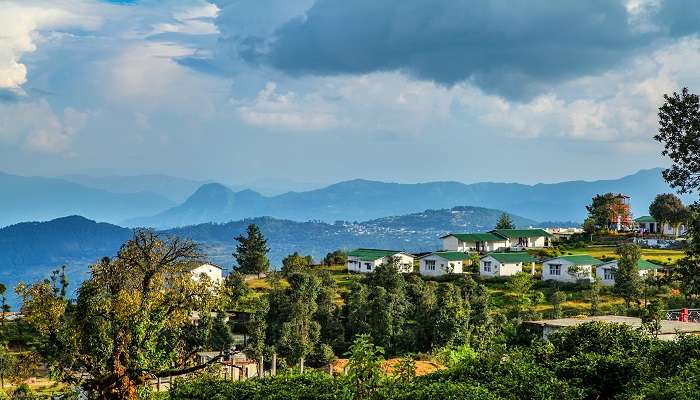 Beautiful Views of the Himalayan valley in Chaukori