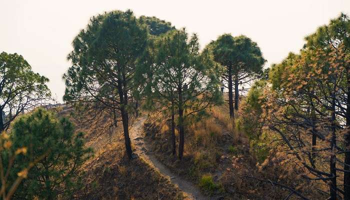  A serene view of the Gilbert Trail