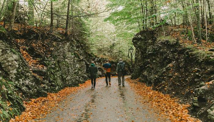 The trekking path of Nelong Valley offers stunning landscapes