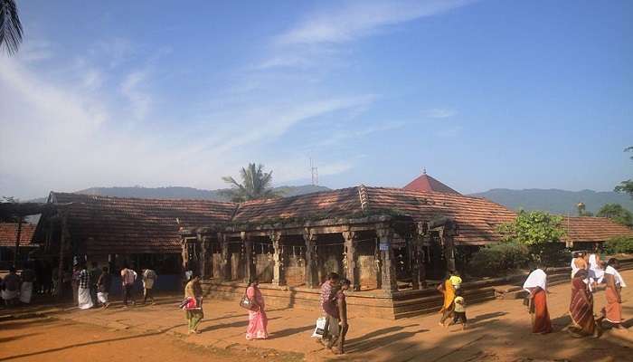 Ruins of Thirunelli Temple located close to Puliyarmala Jain Temple