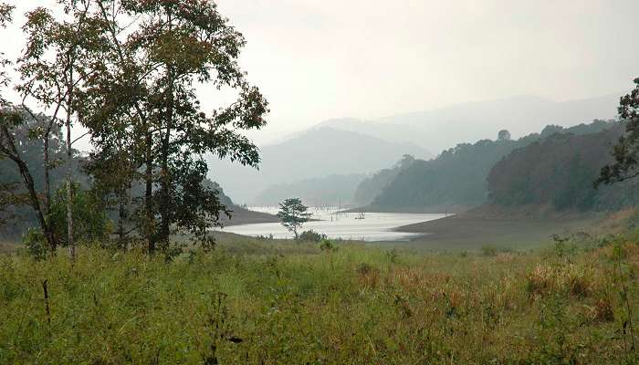 Periyar Lake, Kerala