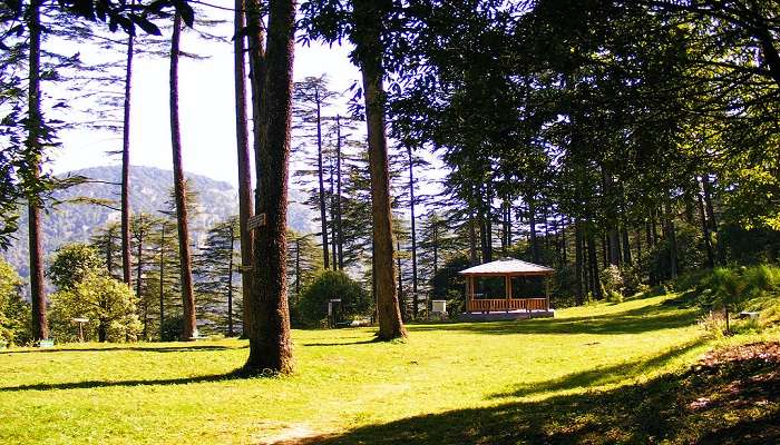 Beautiful lush green landscape in the Dhanalulti in summer