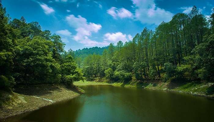 Aerial view of a Bhalu dam situated in the cedar forest and Himalayan Oak.