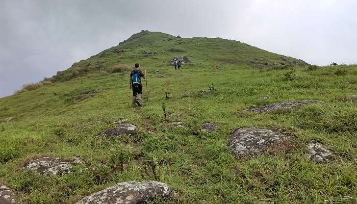 Trekking options are plenty around Banasura Island Resort for adventure and thrill.