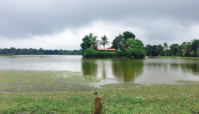 Tourism In Kuttanad