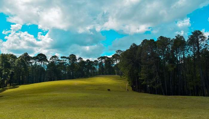 Enjoy the golf in the beautiful landscape of the Golf Course in Ranikhet