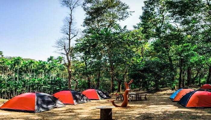 a beautiful campsite location in Dandeli to spend some quality time. 