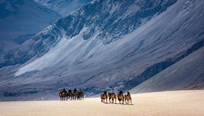 Hundee Village, Nubra Valley