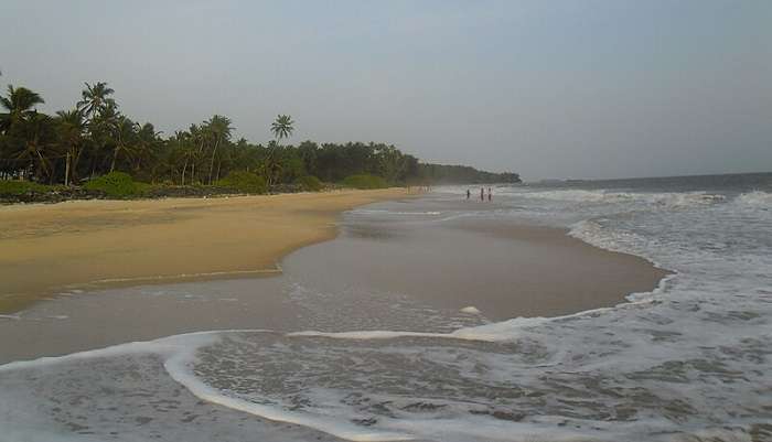 Fishermen and wading birds
