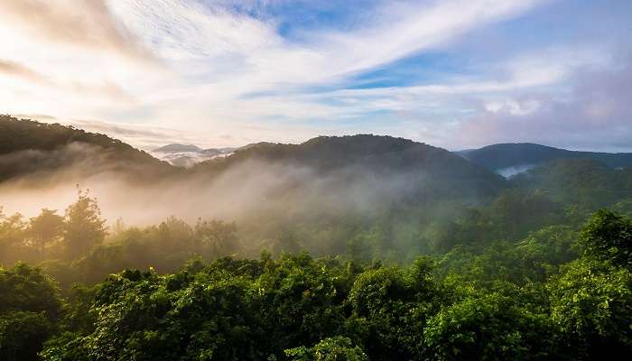 choose the best time to visit the Manyam View point for the scenic views.