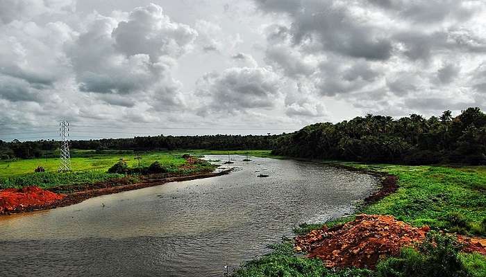 Lake at Angamaly near resorts in Angamaly