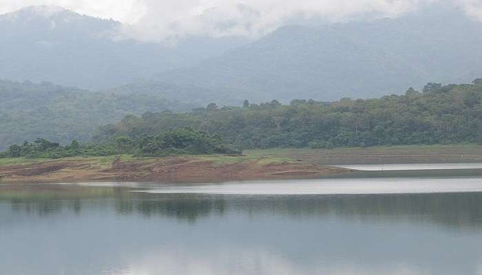 Boating in Chimmony Wildlife Sanctuary