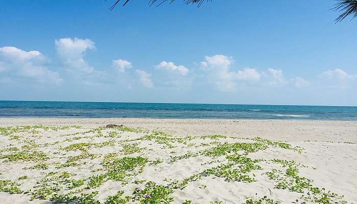 Casuarina Beach near restaurants in Jaffna