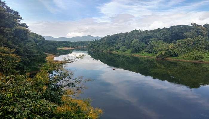 A serene boat ride on the Chaliyar River, surrounded by lush greenery