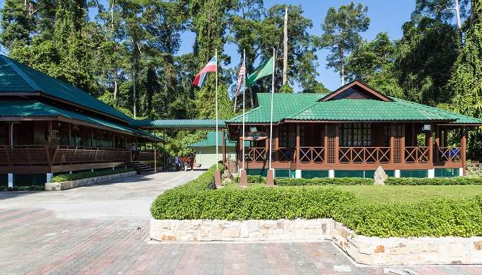 Crocodile Rehabiliation Centre