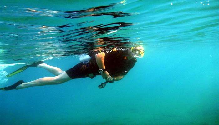  Tourists snorkelling in the clear waters 