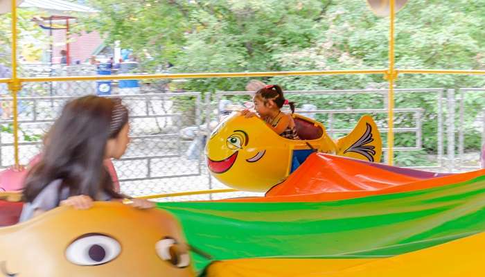 Children enjoying a car ride in an amusement park