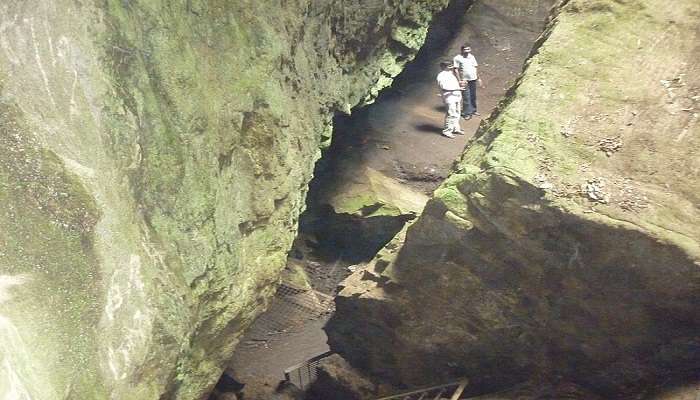 mist covering the trees inside the Guna cave