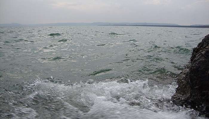 A floating water of Bargi Dam