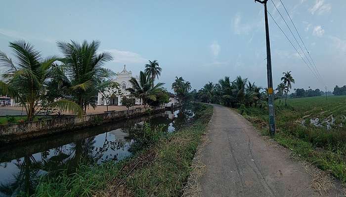 A shot of a lane in Kumarakom amidst green farms