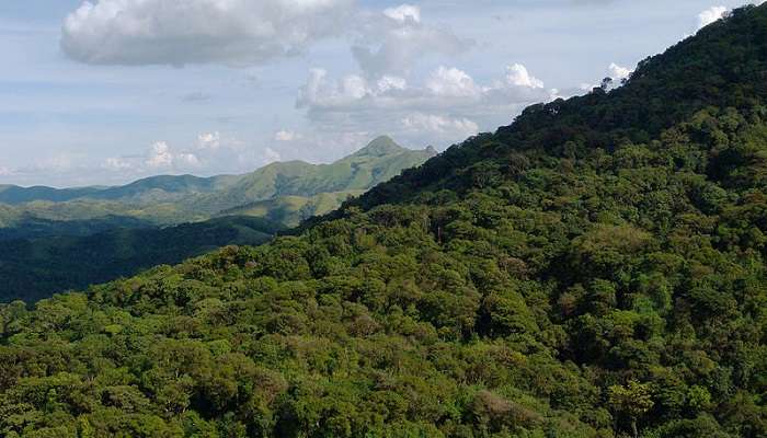 Experience Jenukal Falls