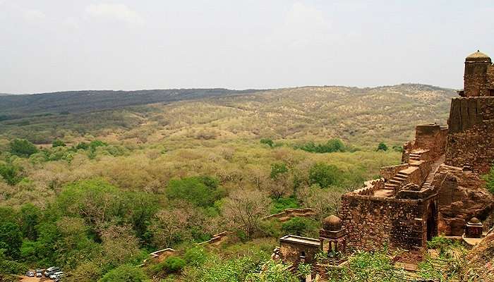 Enjoy Kachida Valley’s lush greenery, near Trinetra Ganesh Temple Ranthambore