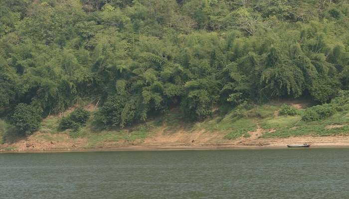 Beautiful godavari river one of the tourist places in Konaseema 