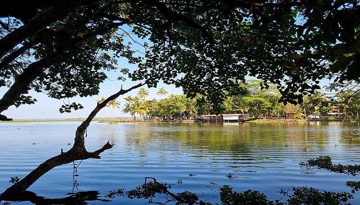 Visit this bird sanctuary near Kumarakom Craft Museum