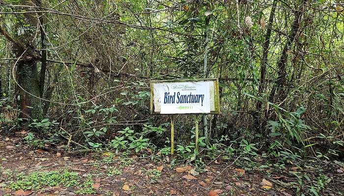 Bird Sanctuary board sign in Kumarakom