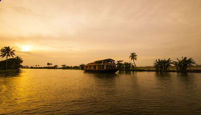 Silhouettes of coconut trees during the sunset in the backwater near Haripad